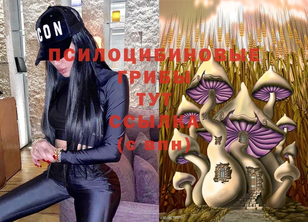 МДМА Абаза