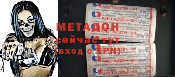 индика Елабуга