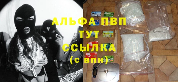 спиды Елизово