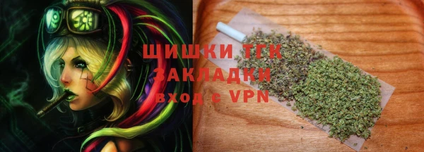 прущие грибы Абдулино