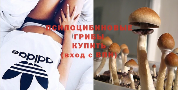 PSILOCYBIN Алексин