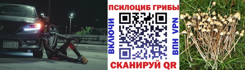 Галлюциногенные грибы Magic Shrooms  как найти закладки  KRAKEN онион  Ряжск 